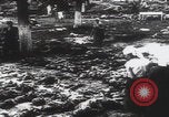 Immagine di Ricerca delle famiglie dei massacri di Katyn Unione Sovietica, 1943, secondo 52 filmato di repertorio 65675080539