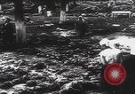 Immagine di Ricerca delle famiglie dei massacri di Katyn Unione Sovietica, 1943, secondo 53 filmato di repertorio 65675080539