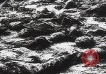 Immagine di Ricerca delle famiglie dei massacri di Katyn Unione Sovietica, 1943, secondo 55 filmato di repertorio 65675080539