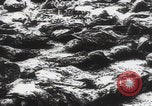 Immagine di Ricerca delle famiglie dei massacri di Katyn Unione Sovietica, 1943, secondo 56 filmato di repertorio 65675080539