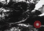 Immagine di Le vittime del massacro di Katyn sono gli ultimi riti Unione Sovietica, 1943, secondo 3 filmato di repertorio 65675080540