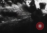 Immagine di Le vittime del massacro di Katyn sono gli ultimi riti Unione Sovietica, 1943, secondo 35 filmato di repertorio 65675080540