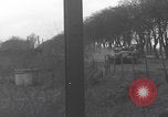 Image of US 3rd Army Division Cologne Cologne Germany, 1945, second 7 stock footage video 65675080543