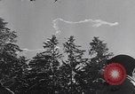 Image of 101st Airborne Bastogne Bastogne Belgium, 1944, second 36 stock footage video 65675080567