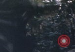 Immagine di USMC operazioni di soccorso Haiti Haiti, 1966, secondo 11 filmato di repertorio 65675080569