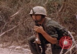 Immagine di USMC operazioni di soccorso Haiti Haiti, 1966, secondo 19 filmato di repertorio 65675080569