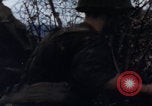 Immagine di USMC operazioni di soccorso Haiti Haiti, 1966, secondo 62 filmato di repertorio 65675080569