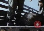 Immagine di 5th Marine Div distribuisce il Vietnam Vietnam, 1966, secondo 48 filmato di repertorio 65675080571