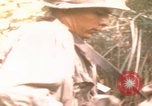 Image of Operations Hastings and Prairie Vietnam, 1966, second 21 stock footage video 65675080575