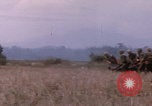 Image of Operations Hastings and Prairie Vietnam, 1966, second 28 stock footage video 65675080575