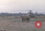 Image of Operations Hastings and Prairie Vietnam, 1966, second 48 stock footage video 65675080575