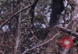 Image of USMC Operation Prairie Vietnam, 1966, second 46 stock footage video 65675080576