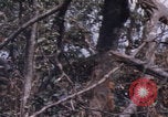 Image of USMC Operation Prairie Vietnam, 1966, second 49 stock footage video 65675080576
