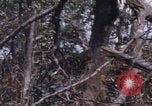 Image of USMC Operation Prairie Vietnam, 1966, second 50 stock footage video 65675080576