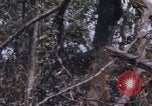 Image of USMC Operation Prairie Vietnam, 1966, second 51 stock footage video 65675080576