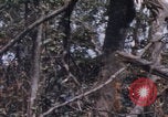 Image of USMC Operation Prairie Vietnam, 1966, second 52 stock footage video 65675080576
