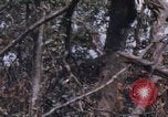 Image of USMC Operation Prairie Vietnam, 1966, second 53 stock footage video 65675080576