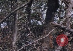 Image of USMC Operation Prairie Vietnam, 1966, second 54 stock footage video 65675080576