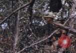 Image of USMC Operation Prairie Vietnam, 1966, second 55 stock footage video 65675080576