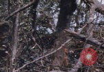 Image of USMC Operation Prairie Vietnam, 1966, second 58 stock footage video 65675080576