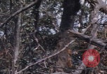 Image of USMC Operation Prairie Vietnam, 1966, second 59 stock footage video 65675080576