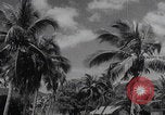 Image of Hainan Island iron ore mining Hainan Island China, 1941, second 6 stock footage video 65675080581