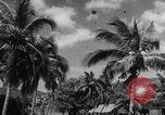 Image of Hainan Island iron ore mining Hainan Island China, 1941, second 8 stock footage video 65675080581