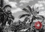 Image of Hainan Island iron ore mining Hainan Island China, 1941, second 9 stock footage video 65675080581