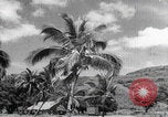 Image of Hainan Island iron ore mining Hainan Island China, 1941, second 10 stock footage video 65675080581
