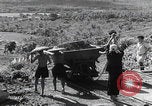 Image of Hainan Island iron ore mining Hainan Island China, 1941, second 58 stock footage video 65675080581