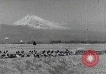 Standbild Shinto-Pilger Japan, 1937, aus Sekunde 26 historischem Filmmaterial Videoclip 65675080583