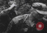 Image of Vietnam War speech United States USA, 1965, second 42 stock footage video 65675080604