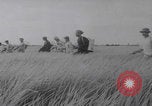 Image of South Vietnamese industry Vietnam, 1959, second 6 stock footage video 65675080606