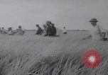 Image of South Vietnamese industry Vietnam, 1959, second 7 stock footage video 65675080606