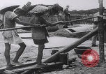 Image of South Vietnamese industry Vietnam, 1959, second 22 stock footage video 65675080606