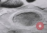 Image of South Vietnamese industry Vietnam, 1959, second 27 stock footage video 65675080606