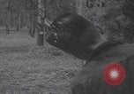 Image of South Vietnamese industry Vietnam, 1959, second 52 stock footage video 65675080606