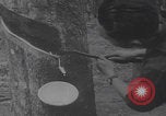 Image of South Vietnamese industry Vietnam, 1959, second 55 stock footage video 65675080606