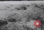 Image of South Vietnamese soldiers training Vietnam, 1960, second 18 stock footage video 65675080607