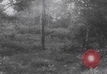 Image of South Vietnamese soldiers training Vietnam, 1960, second 23 stock footage video 65675080607