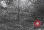 Image of South Vietnamese soldiers training Vietnam, 1960, second 24 stock footage video 65675080607