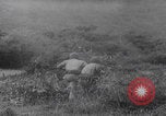 Image of South Vietnamese soldiers training Vietnam, 1960, second 30 stock footage video 65675080607