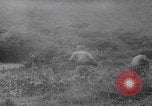 Image of South Vietnamese soldiers training Vietnam, 1960, second 31 stock footage video 65675080607