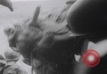 Image of Vietnam War battle Vietnam, 1964, second 42 stock footage video 65675080608