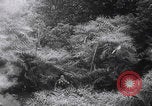 Image of Vietnam War battle Vietnam, 1964, second 60 stock footage video 65675080608
