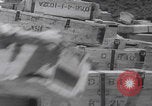 Image of US soldiers captured North Vietnamese weapons Vietnam, 1965, second 12 stock footage video 65675080610