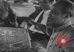 Image of US soldiers captured North Vietnamese weapons Vietnam, 1965, second 50 stock footage video 65675080610