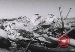 Standbild Vietcong-Autobombardement 1965 Saigon Vietnam, 1965, aus Sekunde 5 historischem Filmmaterial Videoclip 65675080612