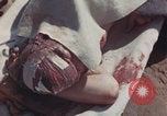 Image of Iwo Jima wounded patients Iwo Jima, 1945, second 40 stock footage video 65675080620