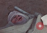 Image of Iwo Jima transport planes Iwo Jima, 1945, second 13 stock footage video 65675080621